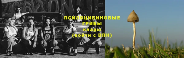 мет Нея