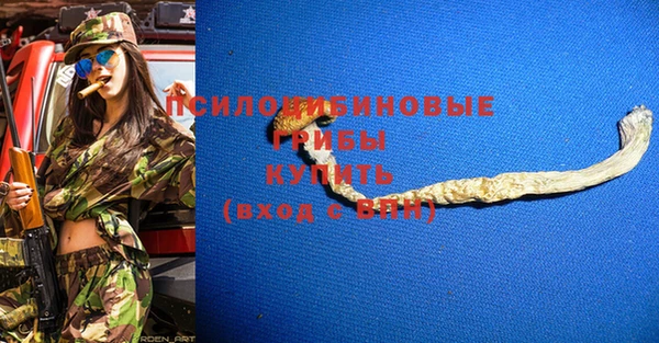 гашик Нефтегорск