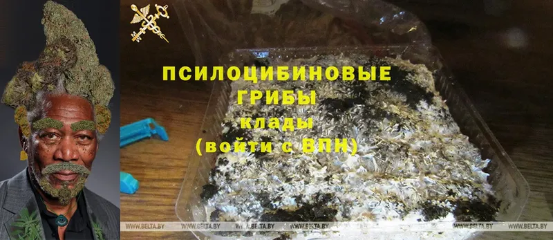 Галлюциногенные грибы MAGIC MUSHROOMS  что такое наркотик  Батайск 